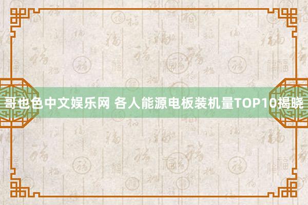 哥也色中文娱乐网 各人能源电板装机量TOP10揭晓