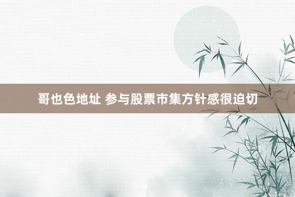 哥也色地址 参与股票市集方针感很迫切