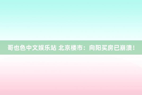哥也色中文娱乐站 北京楼市：向阳买房已崩溃！
