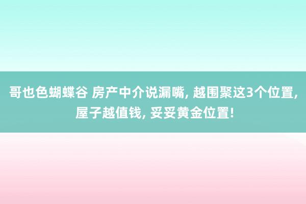 哥也色蝴蝶谷 房产中介说漏嘴， 越围聚这3个位置， 屋子越值钱， 妥妥黄金位置!