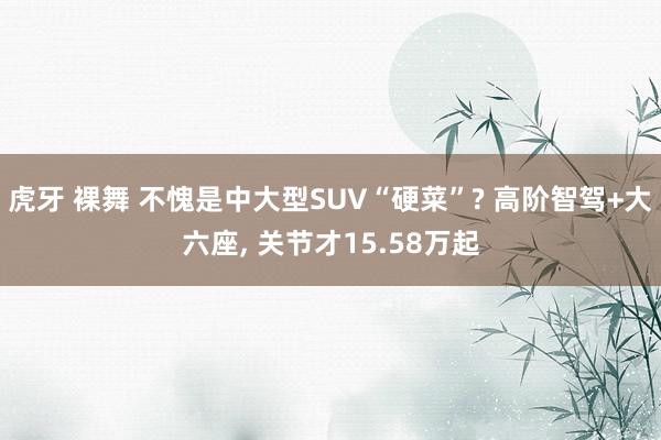 虎牙 裸舞 不愧是中大型SUV“硬菜”? 高阶智驾+大六座， 关节才15.58万起