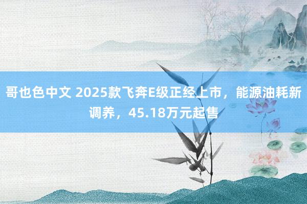 哥也色中文 2025款飞奔E级正经上市，能源油耗新调养，45.18万元起售