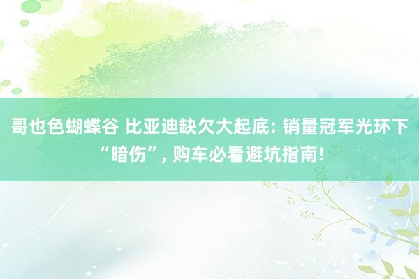 哥也色蝴蝶谷 比亚迪缺欠大起底: 销量冠军光环下“暗伤”， 购车必看避坑指南!