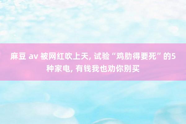 麻豆 av 被网红吹上天， 试验“鸡肋得要死”的5种家电， 有钱我也劝你别买